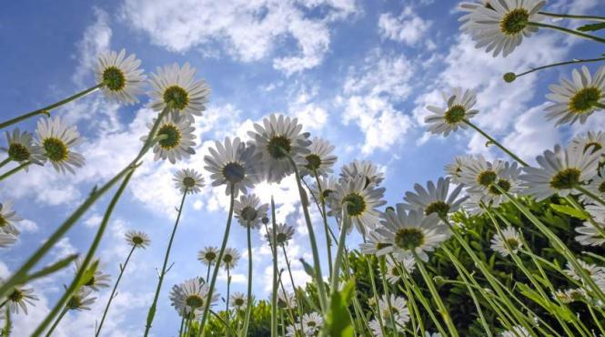 meteorologii au anuntat cum va fi vremea in acest weekend si luni