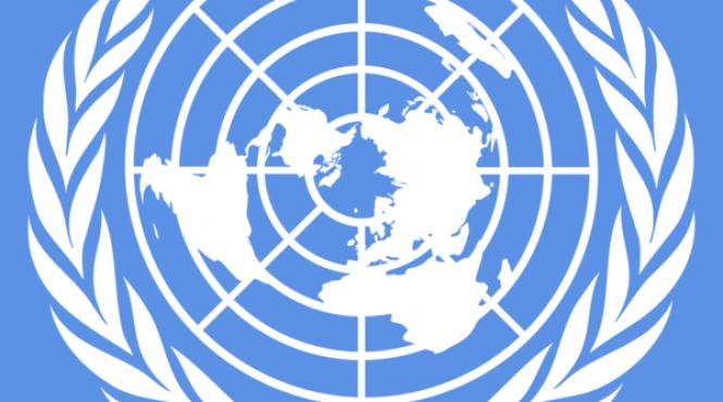 opozitia siriana acuza onu ca nu a reusit sa impiedice crimele comise in siria