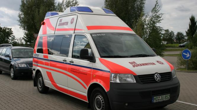 germania confirma descoperirea unui caz de gripa aviara h5n6