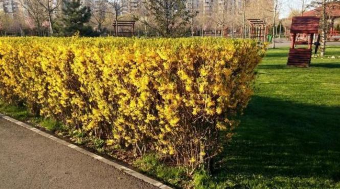 prognoza meteo pentru perioada 26 martie 8 aprilie cum va fi vremea de florii si de paste