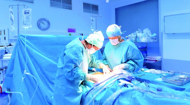 un roman cu transplant de plamani a murit de gripa