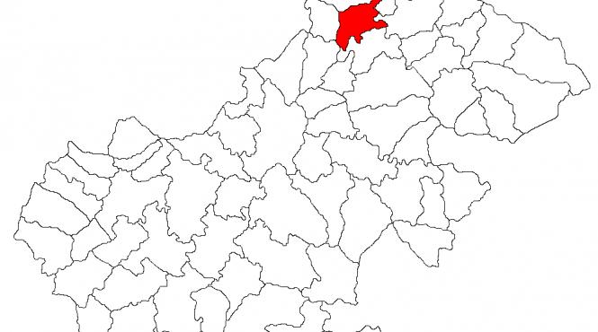 salam depistat cu virusul pistei porcine africane