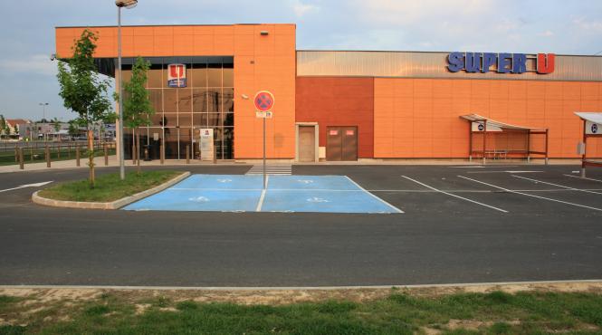 activista pentru drepturile animalelor condamnata la sapte luni de inchisoare cu suspendare pentru un comentariu pe facebook