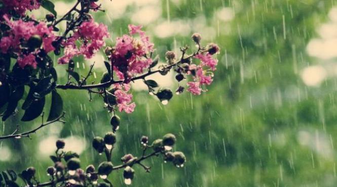 meteorologii anunta vreme rece si precipitatii temporare in capitala duminica si luni