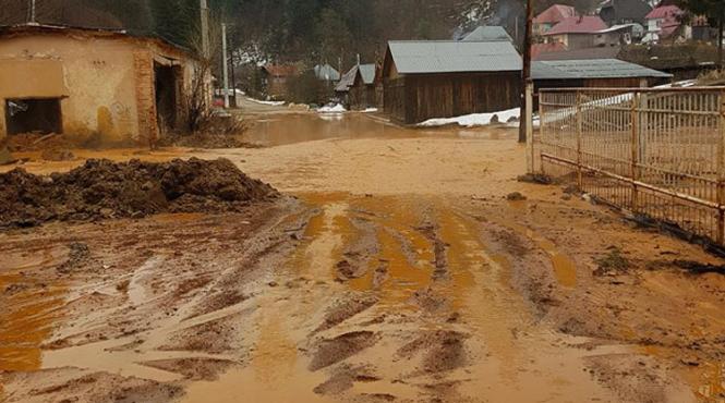remin amendata pentru dezastrul ecologic de pe valea lapusului