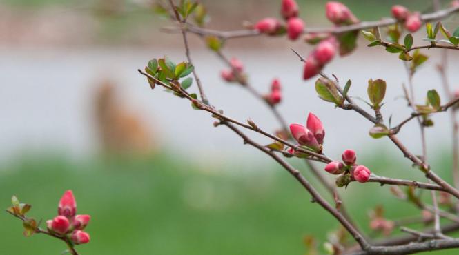 prognoza meteo pentru 5 6 si 7 aprilie cer senin