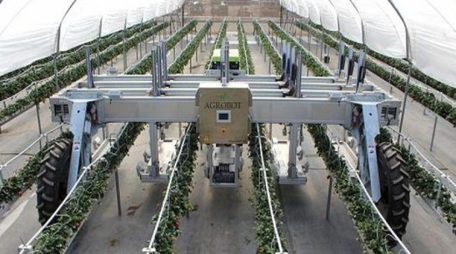 robotii de ultima generatie vor inlocui fermierii la muncile campului