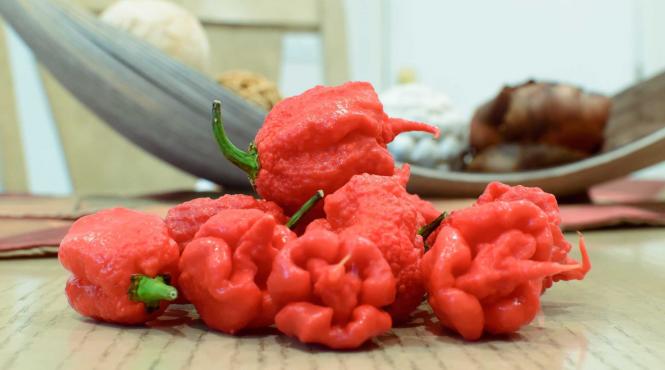ce a patit un barbat care a mancat cel mai iute ardei din lume