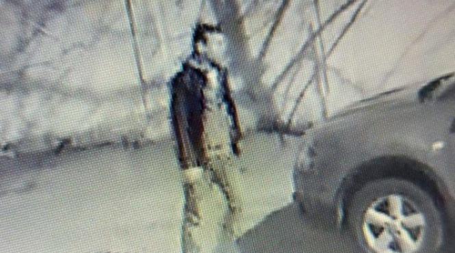 ministrul carmen dan ii recompenseaza pe politistii cu rol definitoriu in prinderea piromanului din capitala