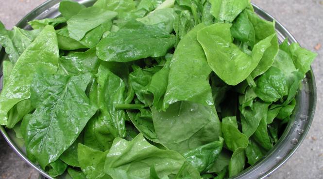 spanacul beneficiile ascunse ale alimentului minune