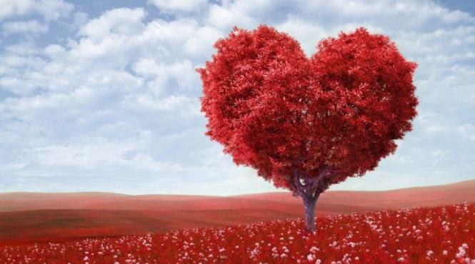 inimile barbatilori femeilor imbatranesc diferit