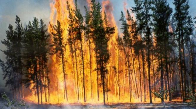 un incendiu de padure a impus declansarea codului portocaliu in partea de vest a mexicului