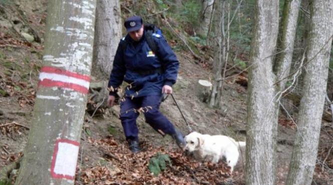 doi turisti rataciti in zona penteleu au fost gasiti de jandarmi