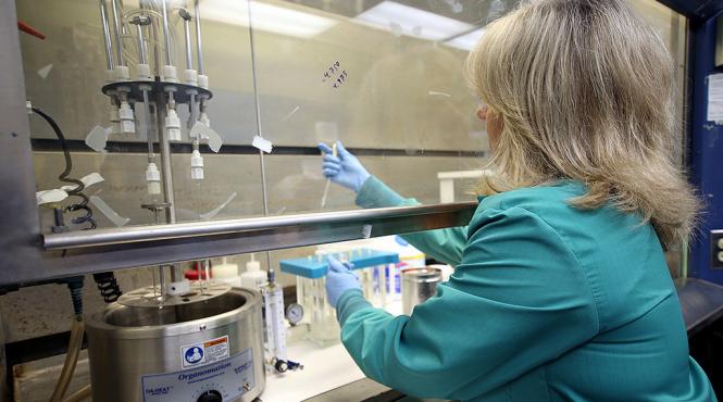 inspectorii oiac vor putea intra in douma potrivit oficialilor rusi