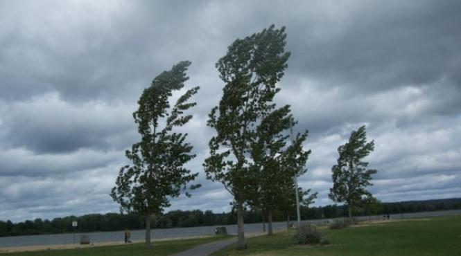 alerta de la anm cod galben de vant puternic in mai multe judete din moldova si dobrogea
