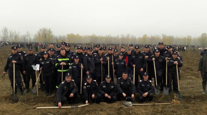angajati mai participa la campania de plantare de stejari in memoria soldatilor cazuti pe campul de lupta in primul razboi mondial