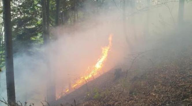 peste 125 de pompieri intervin pentru stingerea unui incendiu de litiera in asau