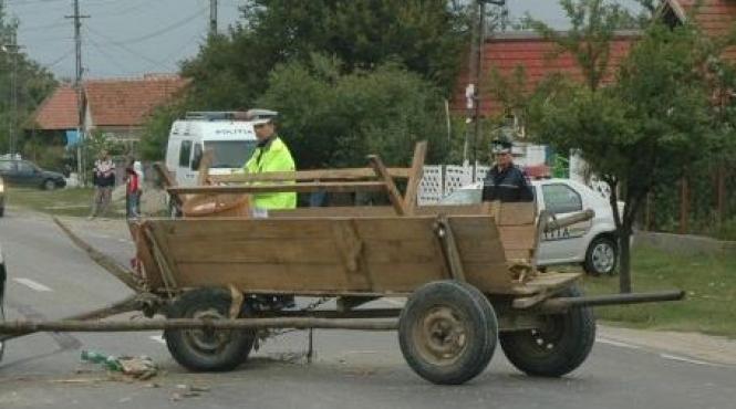 tragedie fara margini la brasov o fetita de cinci ani a murit dupa ce a cazut dintr o caruta