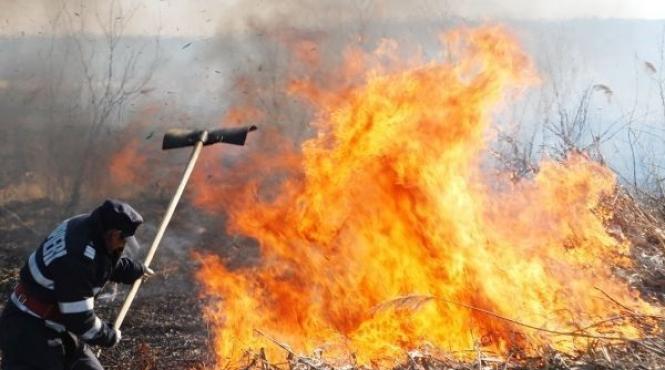 alerta la brasov incendiu de vegetatie uscata langa cetatea rasnov