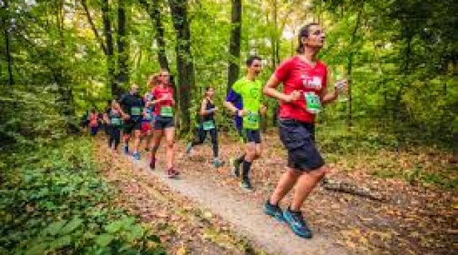 brigada rutiera trafic restrictionat duminica pentru baneasa forest run