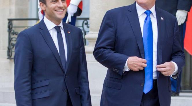 puietul de stejar plantat de trump si macron a fost plasat in carantina