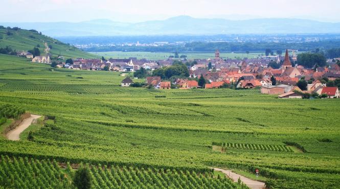 franta considera inacceptabile propunerile comisiei europene privind bugetul politicii agricole comune