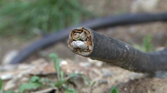 tragedie la brasov o fetita de doi ani a murit prin electrocutare in timp ce se juca in curtea casei