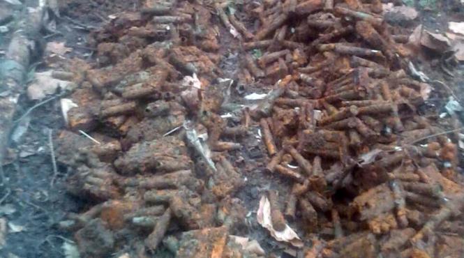 descoperire incredibila in vrancea peste 2 400 de cartuse au fost gasite in curtea unui centru de zi pentru copii