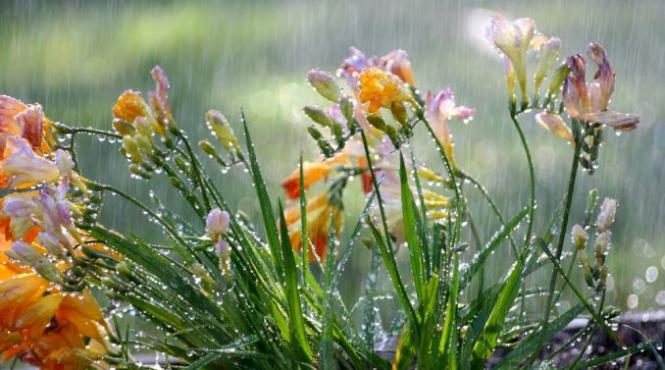 prognoza meteo pentru 8 9 10 si 11 mai precipitatii