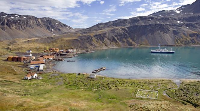 insula georgia de sud eliberata de rozatoare pentru prima data in ultimii 200 de ani