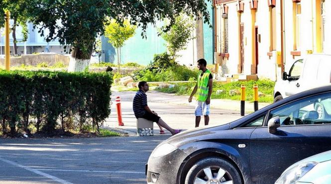 fenomenul sefu eu am grija aici