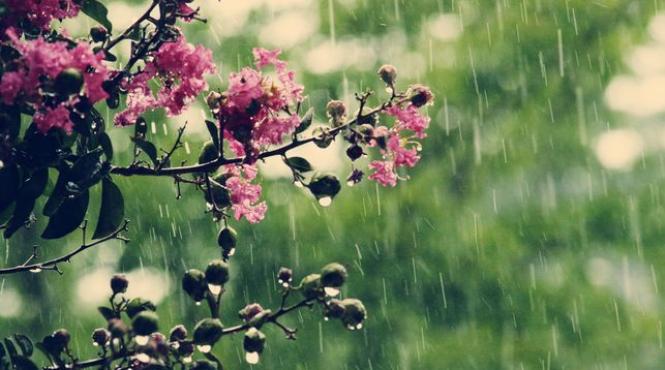 prognoza meteo pentru 11 12 13 si 14 mai ploi