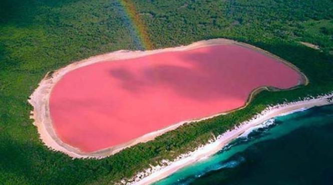 superlativele mapamondului lacul roz din australia