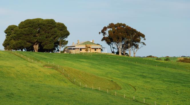 australia patru copii si trei adulti au fost gasiti morti prin impuscare la o ferma din australia