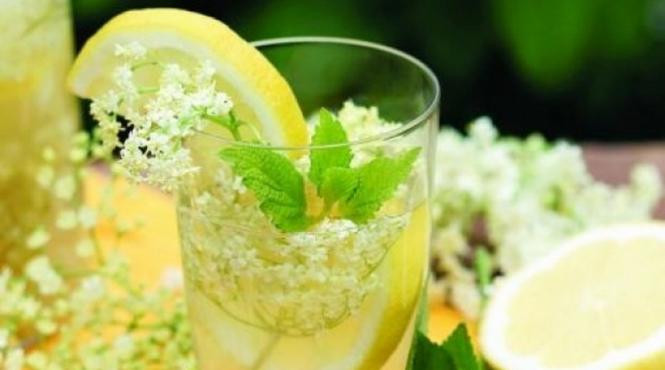 reteta pentru delicioasa socata care sunt proprietatile curative ale bauturii racoritoare a romanilor