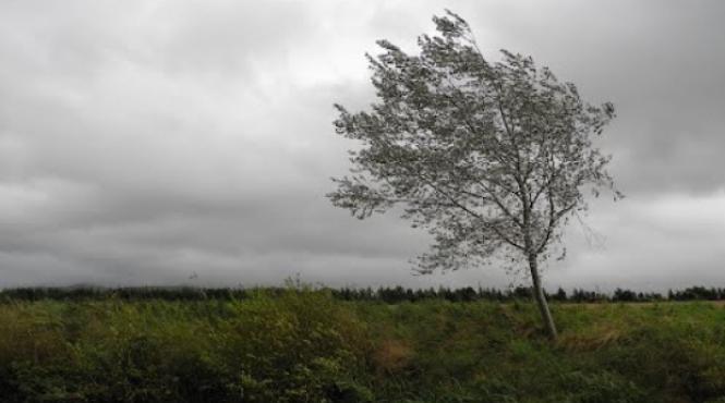 anm judetele arad mehedinti si dolj sub avertizare cod galben de vreme instabila