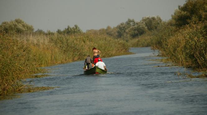 delta dunarii face foamea pe un miliard de euro