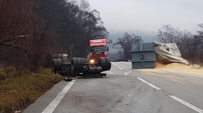atentie soferi trafic alternativ in zona pestera bolii dupa ce o remorca plina cu rumegus s a rasturnat