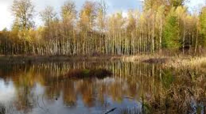 oseminte descoperite in danemarca marturie a unei batalii misterioase din urma cu 2 000 de ani