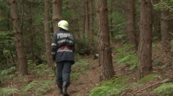 un batran care a plecat la cules de ciuperci este cautat de salvamontisti in masivul valcan