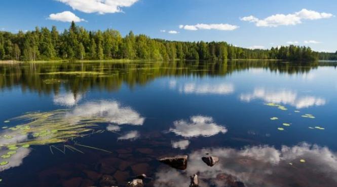 video statele cu cel mai curat aer din lume