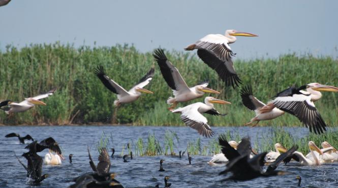 pe harta turistica europeana romania nu se vede