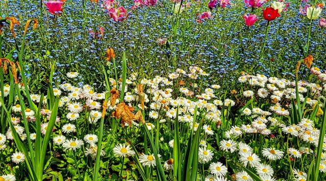 prognoza meteo pentru 4 5 6 si 7 iunie cer noros