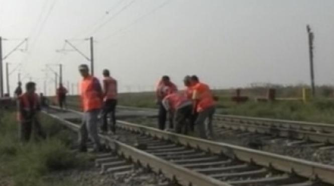 un cioban si sapte oi au murit loviti de un tren