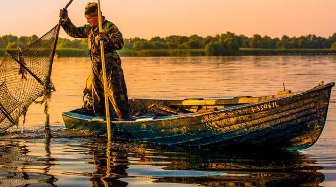 pescuitul sportiv si cel comercial s au reluat in delta dunarii
