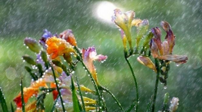 prognoza meteo pentru 7 8 9 si 10 iunie ploi scurte