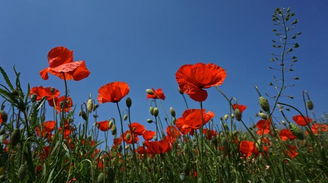 prognoza meteo pentru 8 9 10 si 11 iunie vreme calda