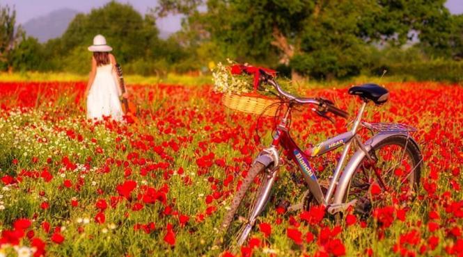 prognoza meteo pentru 12 13 14 si 15 iunie vreme calda