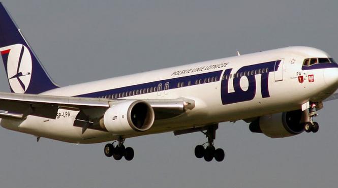 incredibil un aligator a oprit un avion care aterizase pe aeroportul din orlando