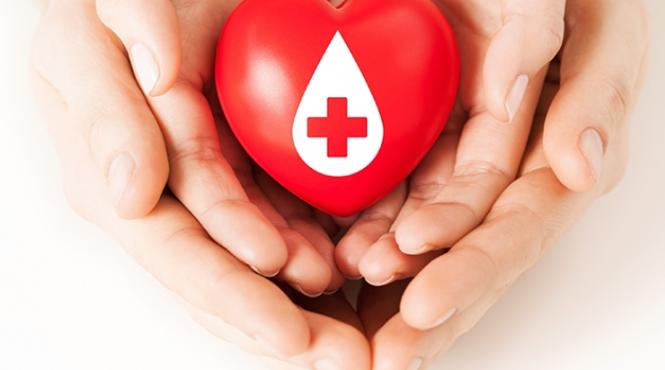 ziua mondiala a donatorului de sange marcata in parcul regele mihai i